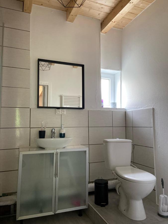 Le Chene: Petit Chalet Cosy Proche De Mulhouse Riedisheim Exterior foto